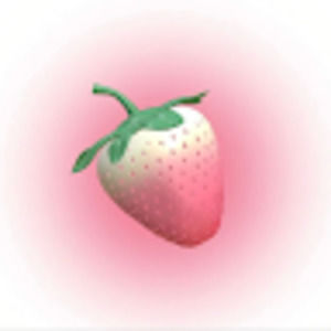 Meet your Posher, Gabby